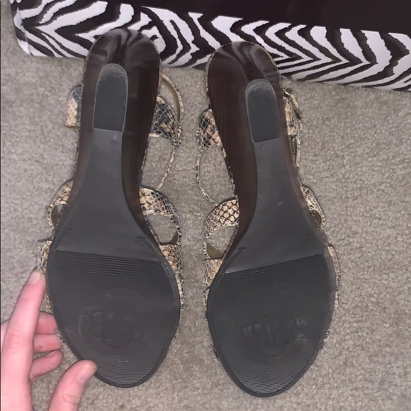 Snake skin heels by DANA BUCHMAN - Picture 3 of 6